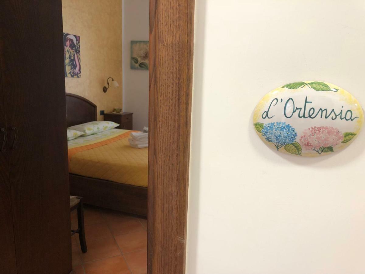 Casa Gentile Bed and Breakfast Agerola Eksteriør billede